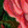 Предпросмотр схемы вышивки «розы» (№964513)