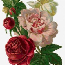 Схема вышивки «розы»