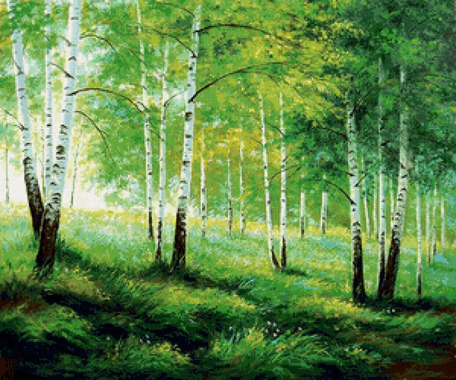 лето в берёзовой роще - природа, лето, лес, березы, живопись, пейзаж, роща - предпросмотр