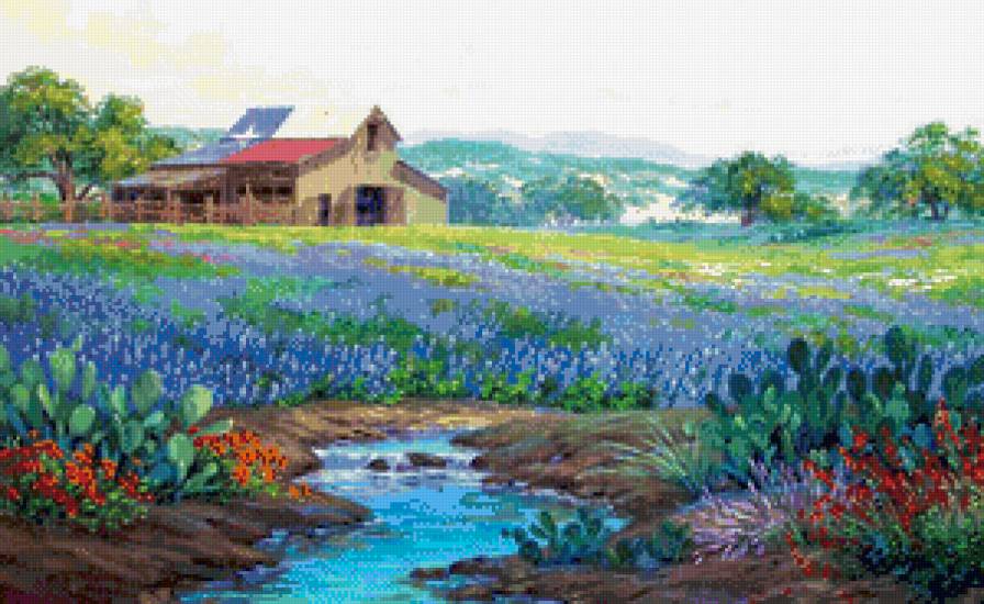 цветочные поля - кактус, живопись, агава, поле, пейзаж, цветы, юг - предпросмотр