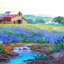 цветочные поля