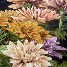 хризантемы