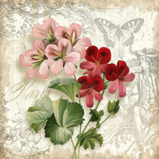 Схема вышивки «№965147»