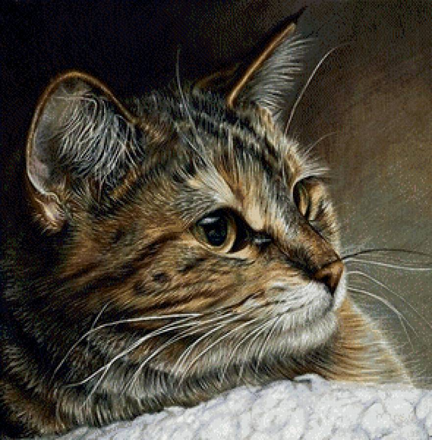 Серия "Домашние любимцы" - профиль, котик, кот, глазки - предпросмотр