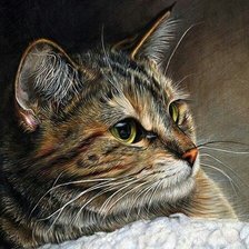 Схема вышивки «Серия "Домашние любимцы"»