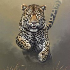 Схема вышивки «Серия "Дикая природа"»