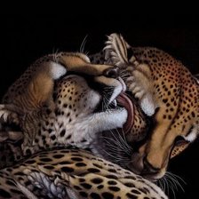 Схема вышивки «№965380»