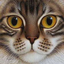 Схема вышивки «котик»