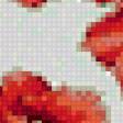 Предпросмотр схемы вышивки «маки» (№965426)
