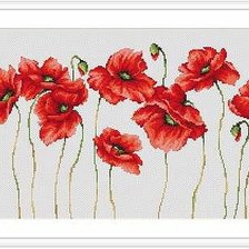 Схема вышивки «маки»