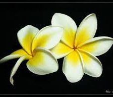 Схема вышивки «№965438»