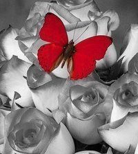 Схема вышивки «№965439»