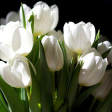 Схема вышивки «№965453»