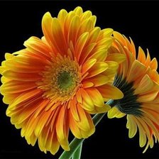 Схема вышивки «№965460»