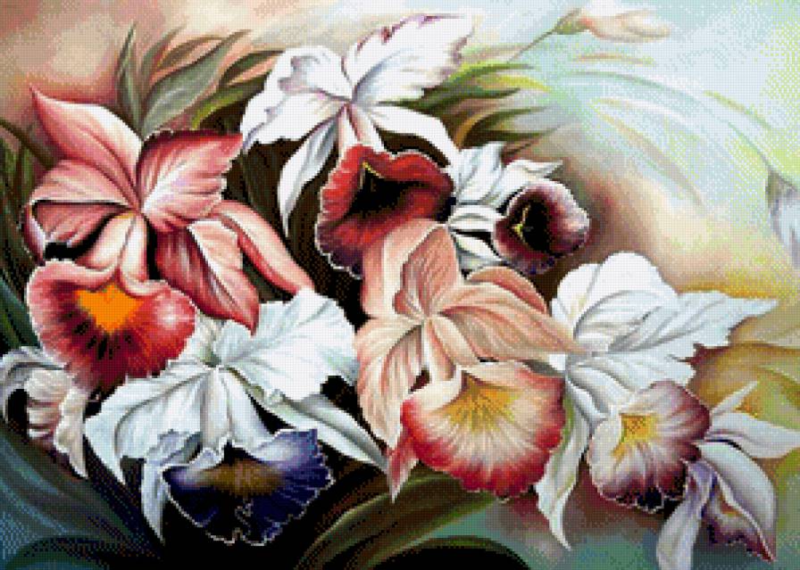 Орхидеи - цветы, цветок, орхидея, букет - предпросмотр