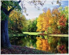 Схема вышивки «" Очарование!!"»