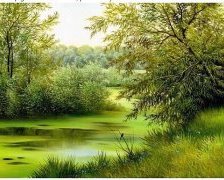 Схема вышивки «" Лето"»