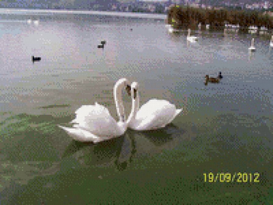 " Верность !!" - предпросмотр