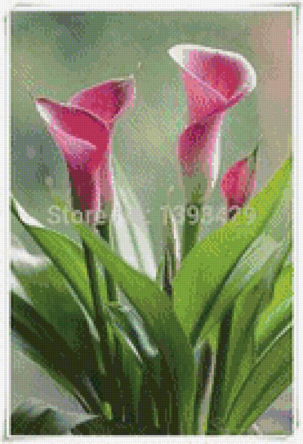 "Люблю тебя!!" - нежность, цветы, любовью - предпросмотр