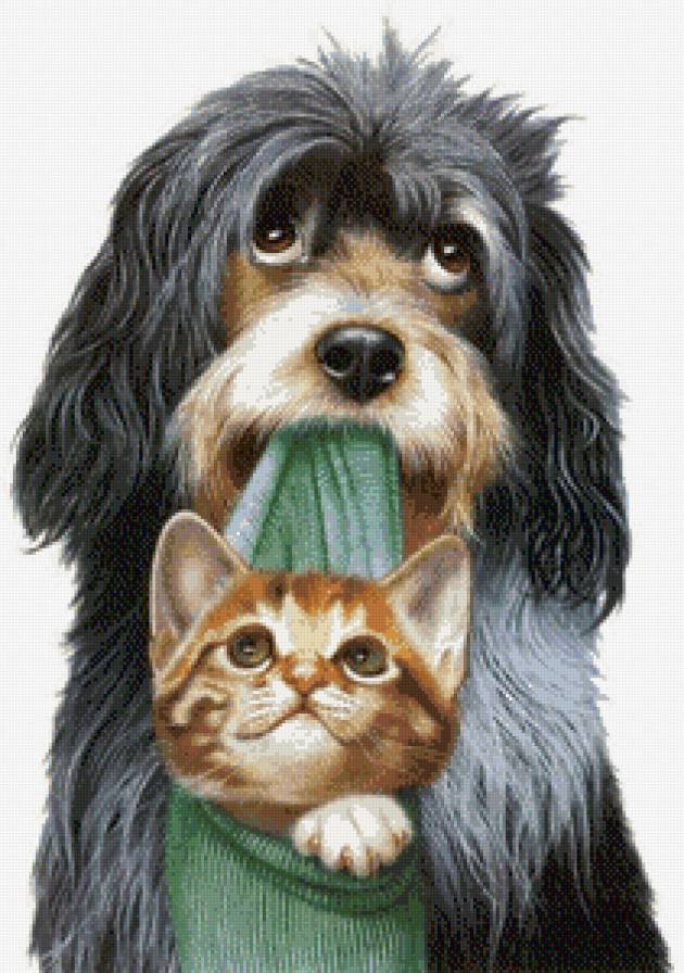 Серия "Забавные зверюшки" - собака, котенок, приколы - предпросмотр