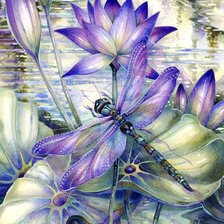 Схема вышивки «кувшинки и стрекоза»