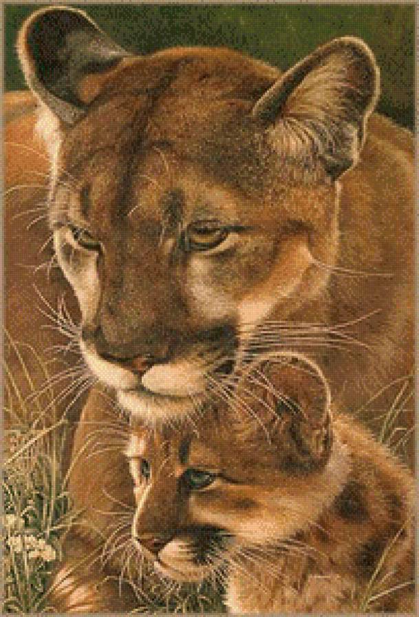 Серия "Дикая природа" - нежность, львенок, мать и дитя, забота, львица - предпросмотр