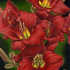 цветы на зеленом фоне