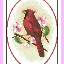 Схема вышивки «cardinal»