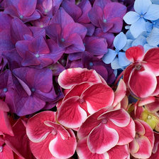 Схема вышивки «№966154»