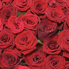 Схема вышивки «розы»