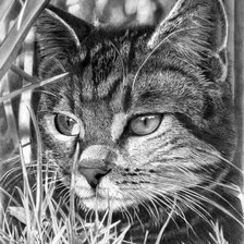 Схема вышивки «№966392»