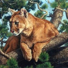 Схема вышивки «пума»