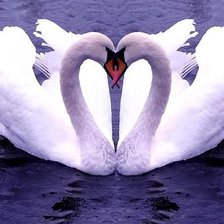 Схема вышивки «Лебеди»