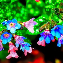 Буйство цвета