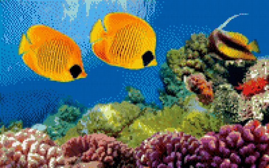 Подводное чудо - предпросмотр