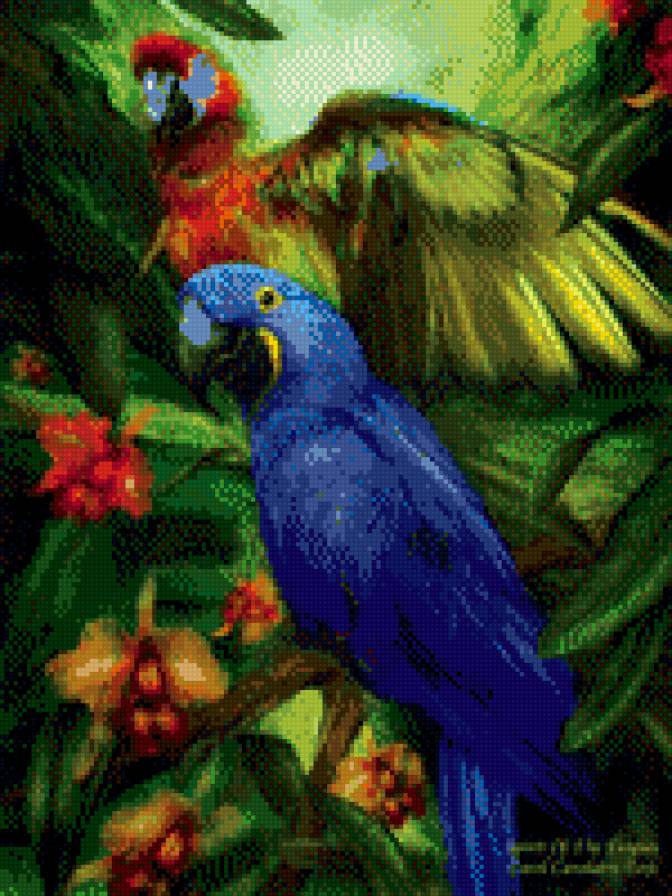 Попугаи 3 - предпросмотр