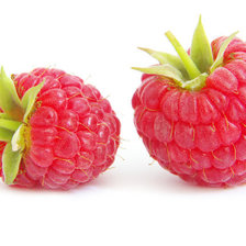 Схема вышивки «малинка»