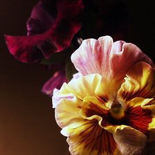 Схема вышивки «Цветы2»