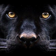 Схема вышивки «321»