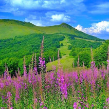 Схема вышивки «гори»