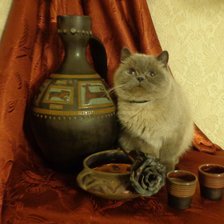 Схема вышивки «натюрморт с кошкой/11»