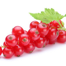 Схема вышивки «на кухню3»