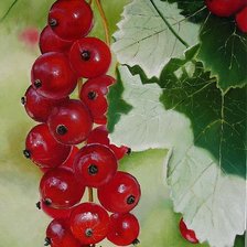 Схема вышивки «№966941»