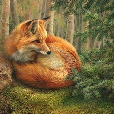 Схема вышивки «Серия "Дикая природа"»