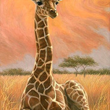 Схема вышивки «Серия "Дикая природа"»