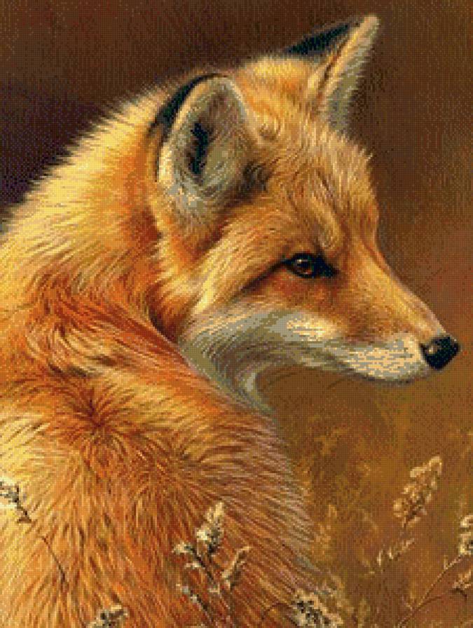 Серия "Дикая природа" - лиса, природа, профиль, лисичка, портрет - предпросмотр