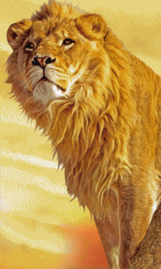 King Leon 2 - короли, львы - предпросмотр