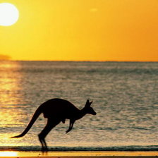 Схема вышивки «австралия»