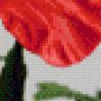 Предпросмотр схемы вышивки «маки» (№967333)