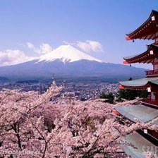 Схема вышивки «Fuji»